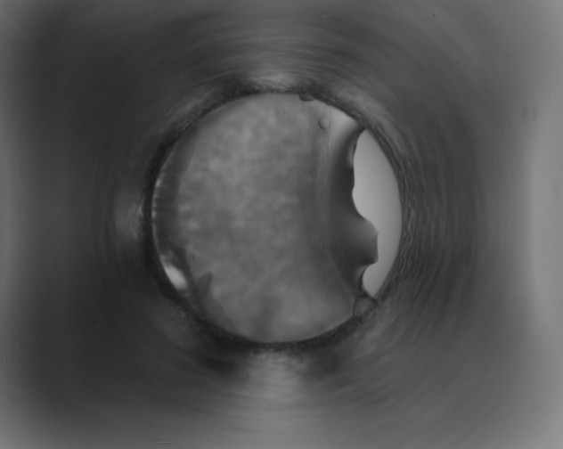 X0000088470596200706191349