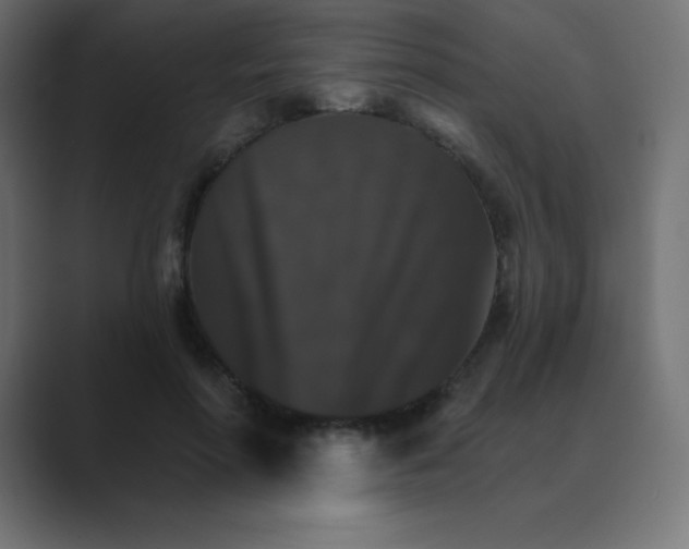 X0000088470598200706191349