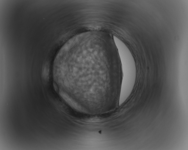 X0000088470600200706191349