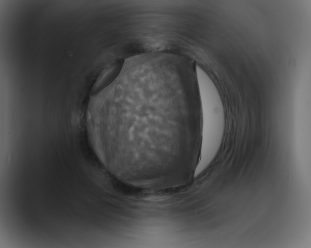 X0000088470601200706191349