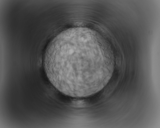 X0000088470602200706191349