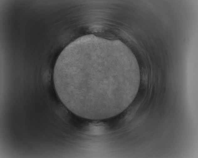 X0000088470603200706191349