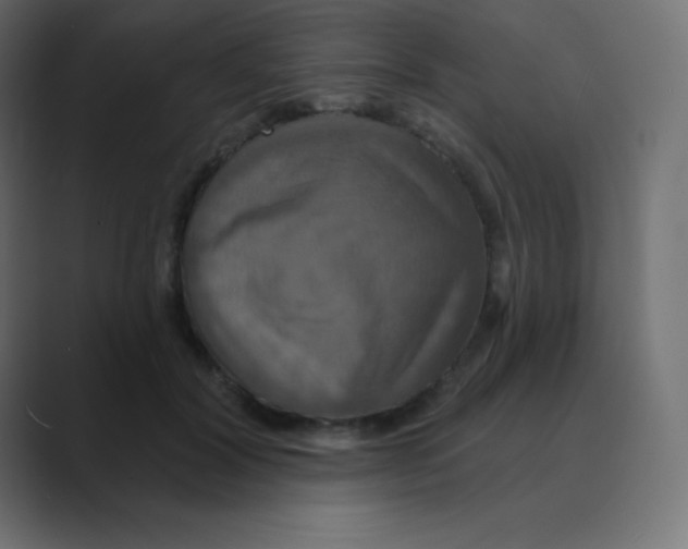 X0000088470604200706191349