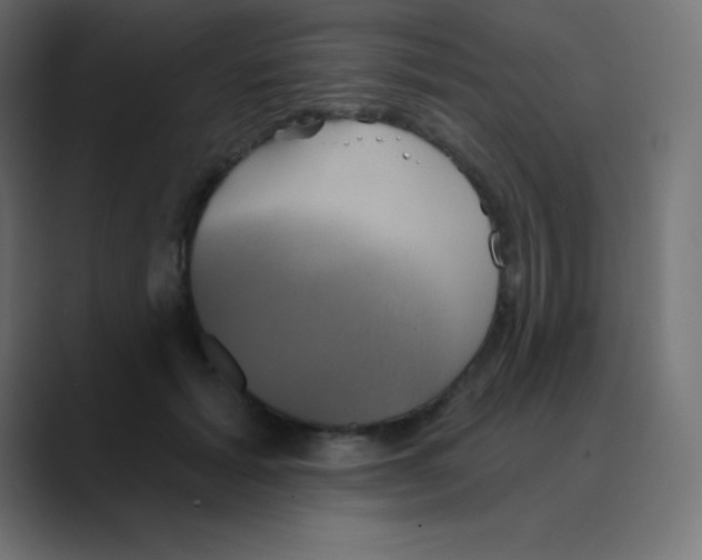 X0000088470605200706191349