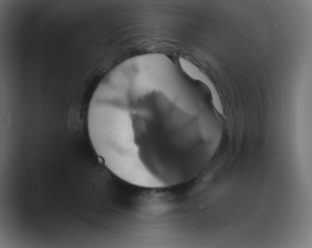 X0000088470607200706191349