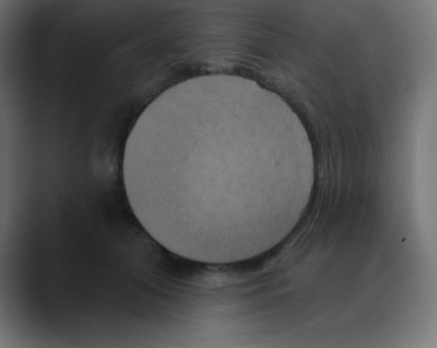 X0000088470608200706191349