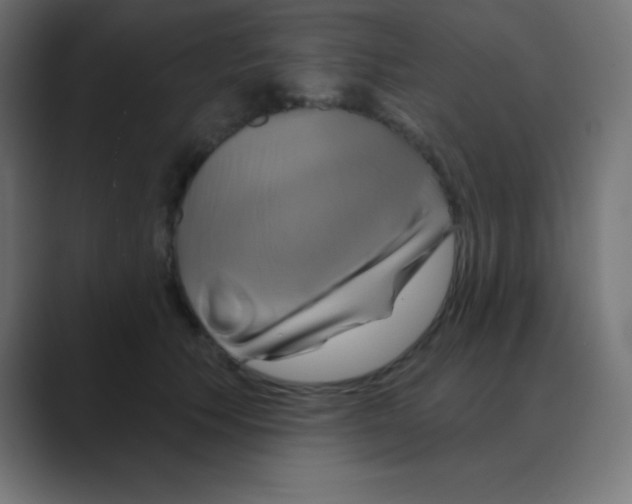 X0000088470609200706191349