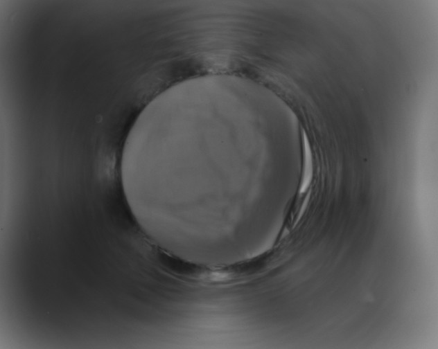 X0000088470610200706191349