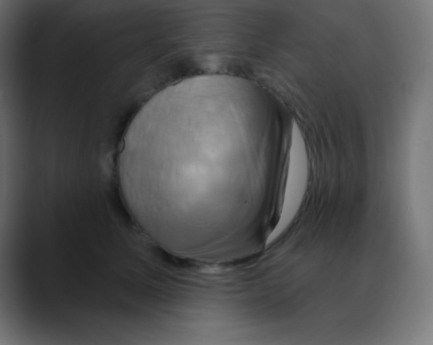 X0000088470611200706191349