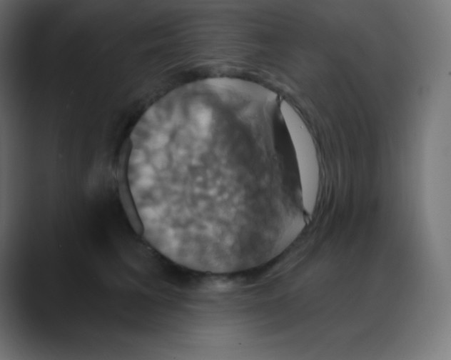 X0000088470613200706191349