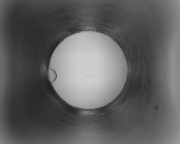 X0000088470614200706191349