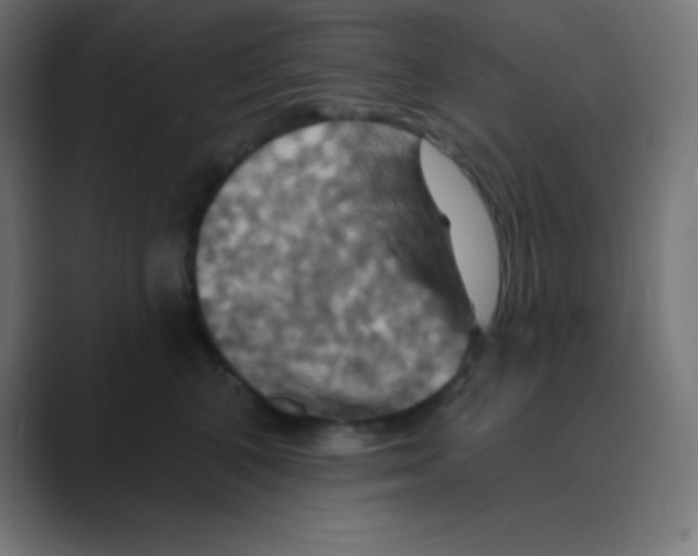 X0000088470616200706191349
