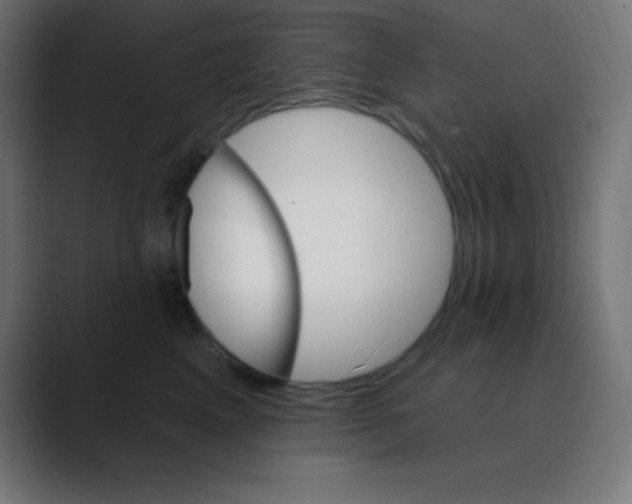 X0000088470617200706191349
