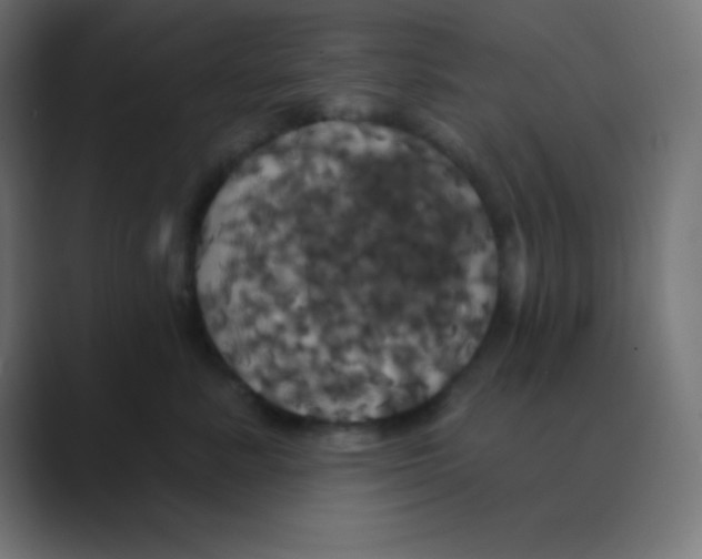 X0000088470619200706191349