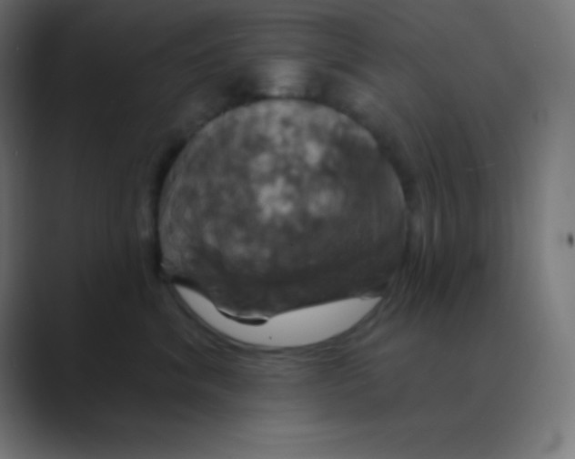 X0000088470620200706191349