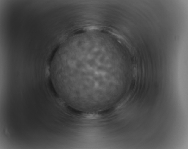 X0000088470621200706191349