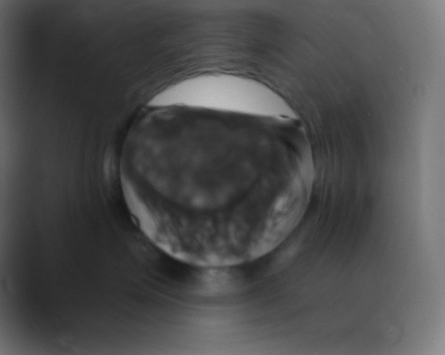 X0000088470623200706191349