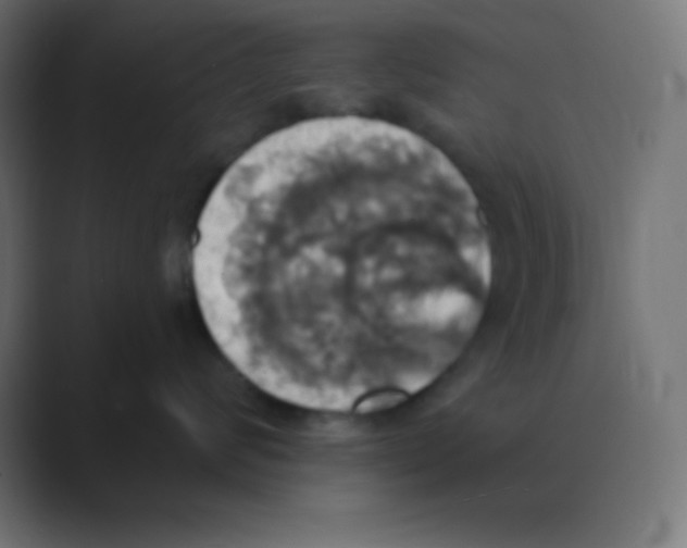 X0000088470624200706191349