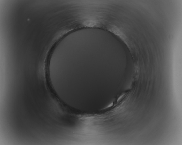 X0000088470626200706191348