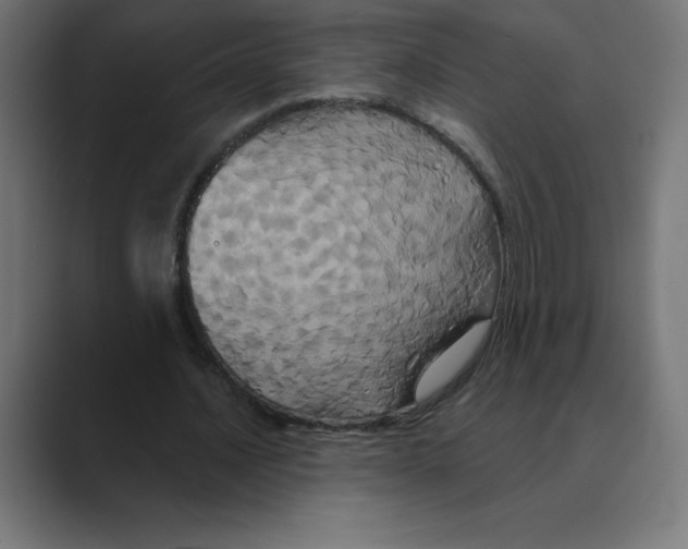 X0000088470628200706191348