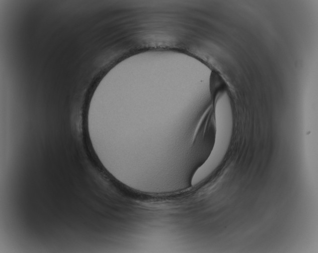 X0000088470629200706191348