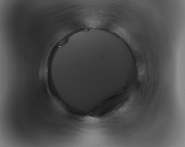 X0000088470630200706191348