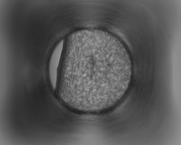 X0000088470633200706191348