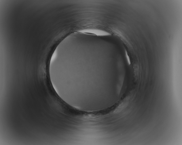 X0000088470634200706191348