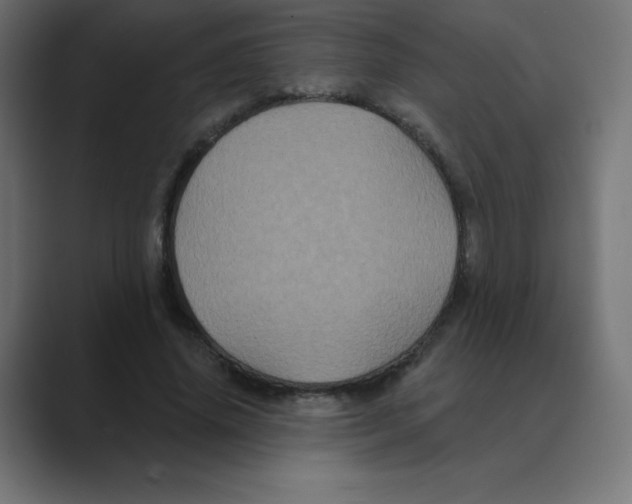 X0000088470636200706191348