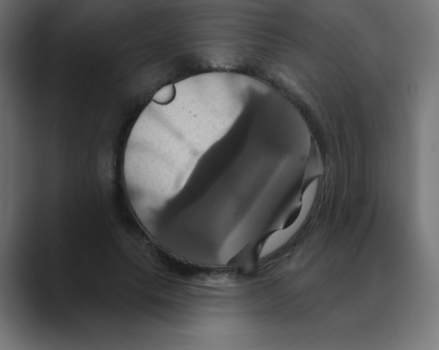 X0000088470639200706191349
