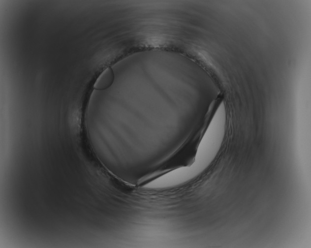 X0000088470640200706191349