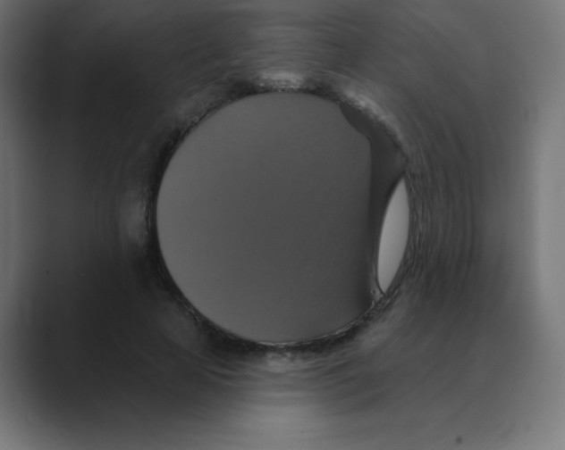X0000088470641200706191349