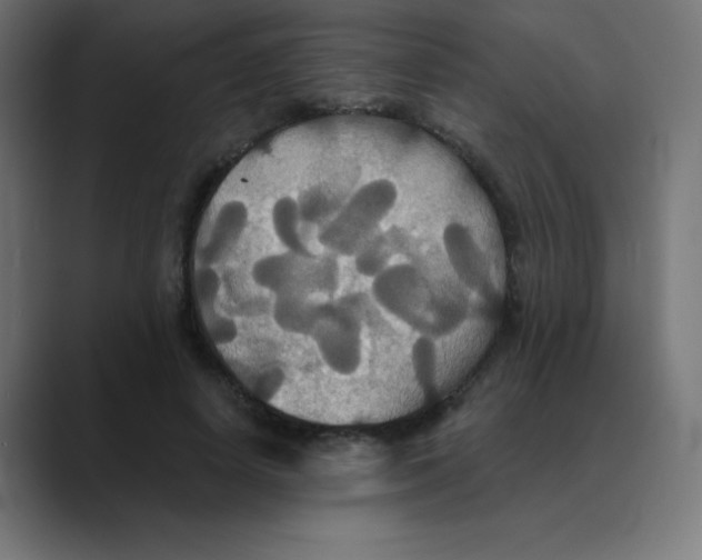 X0000088470642200706191349