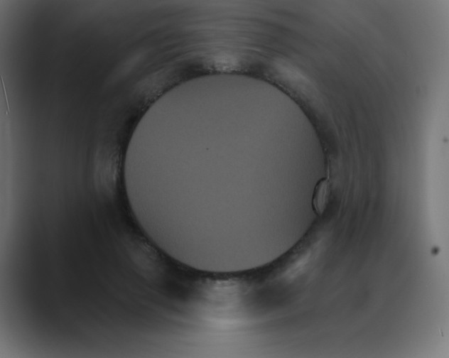 X0000088470645200706191349