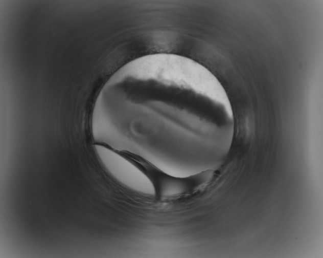 X0000088470647200706191349