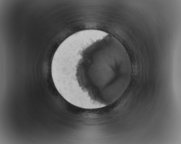 X0000088470648200706191349