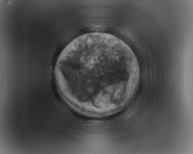 X0000088470649200706191349