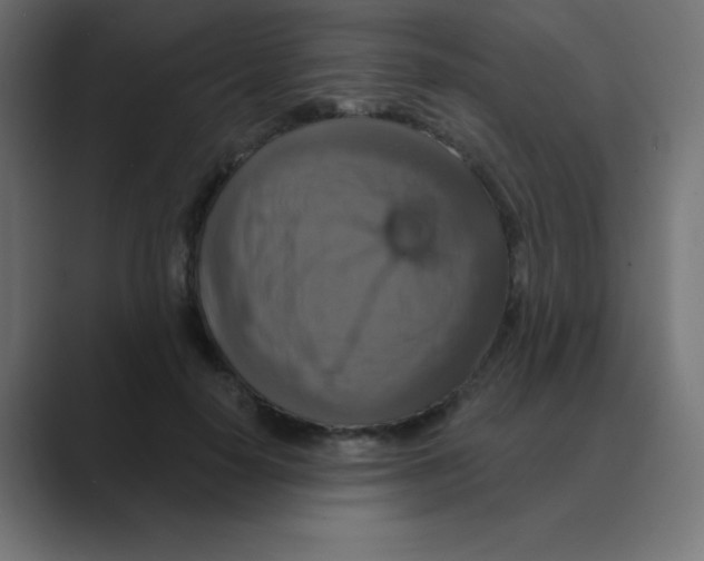 X0000088470650200706191349