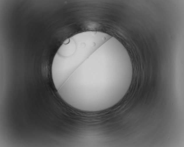 X0000088470651200706191349