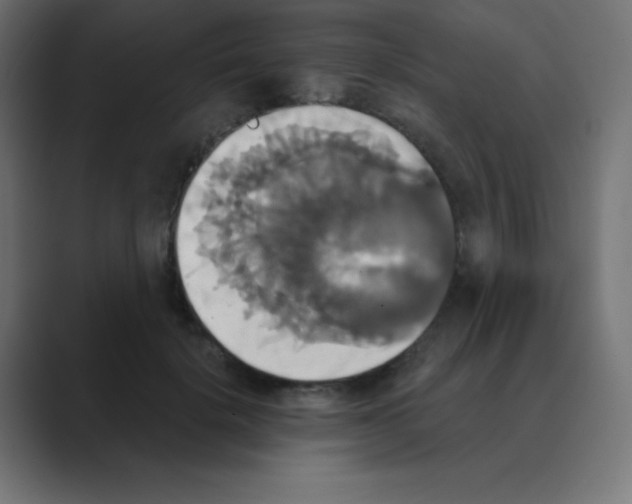X0000088470652200706191349
