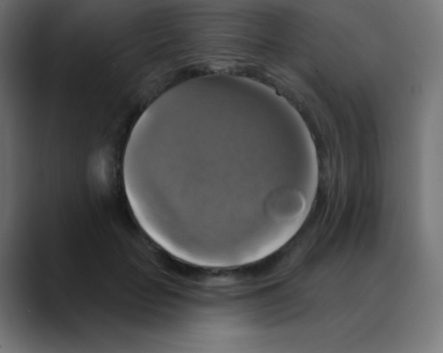 X0000088470653200706191349