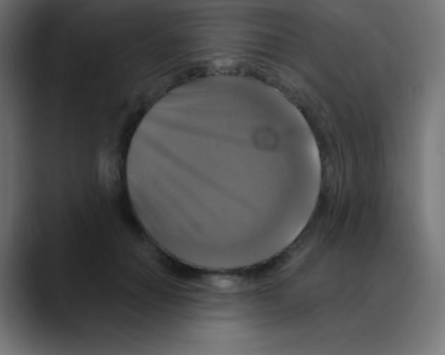 X0000088470654200706191349