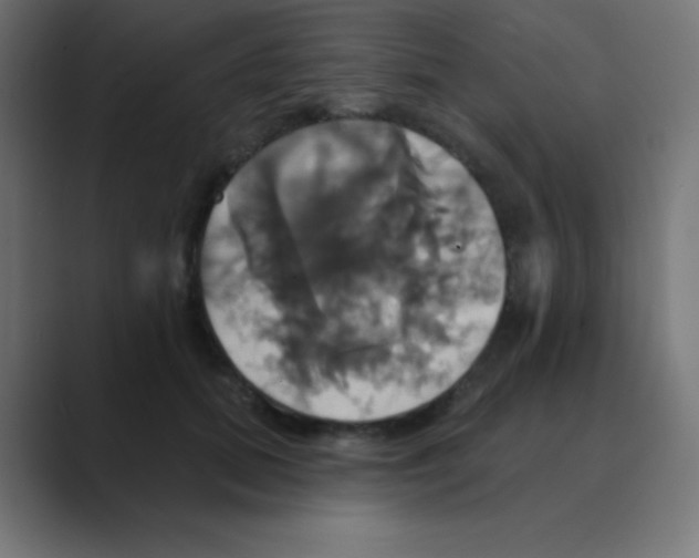X0000088470655200706191349