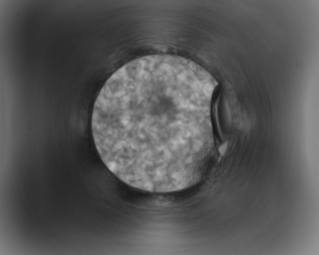 X0000088470656200706191349