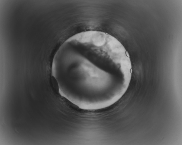 X0000088470657200706191349