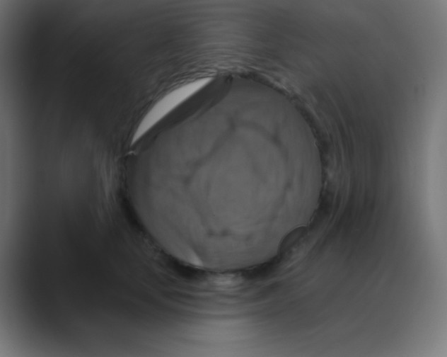X0000088470659200706191349