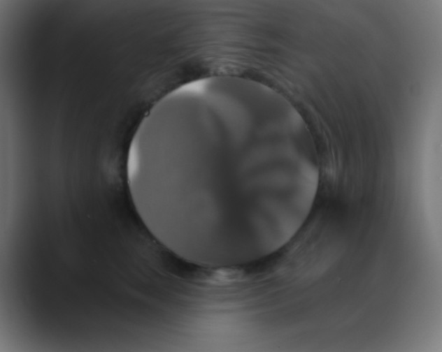 X0000088470663200706191349
