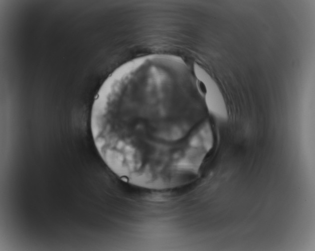 X0000088470664200706191349