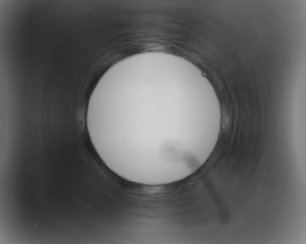 X0000088470666200706191349