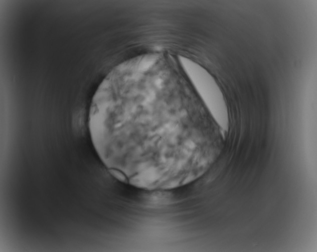 X0000088470670200706191349
